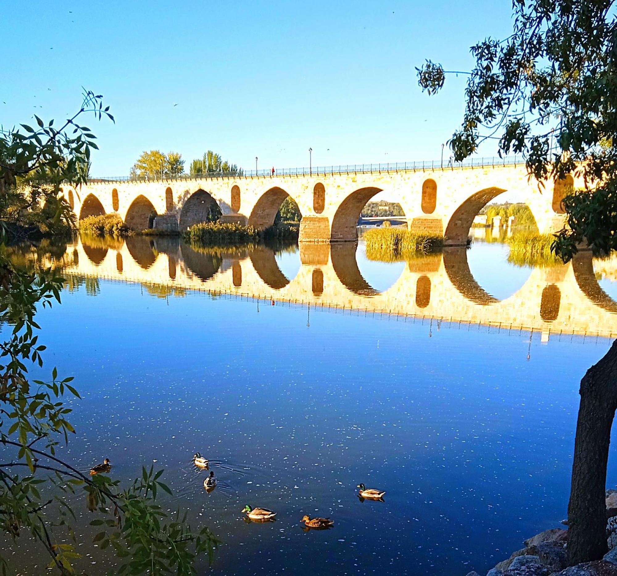 Mirador De Las Cigueenas 萨莫拉 外观 照片